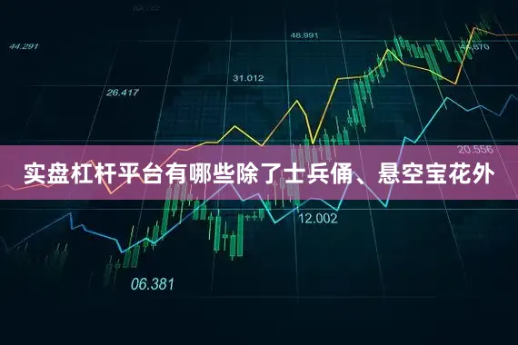 实盘杠杆平台有哪些除了士兵俑、悬空宝花外